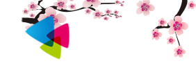 酷酷看书网